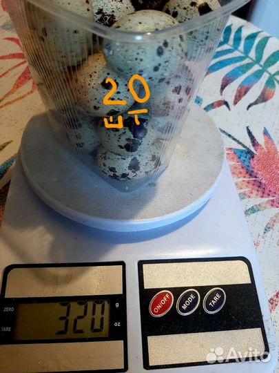 Яйца перепелиные домашние