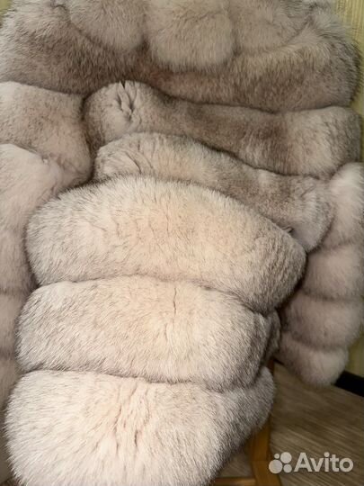 Финский аукционный песец