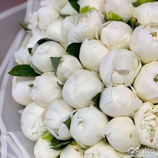 Пионы Букет