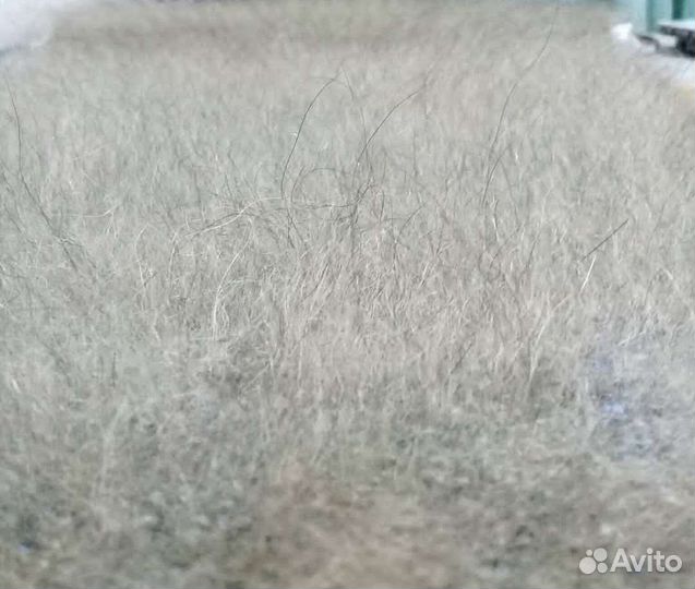 Пояс пух собак