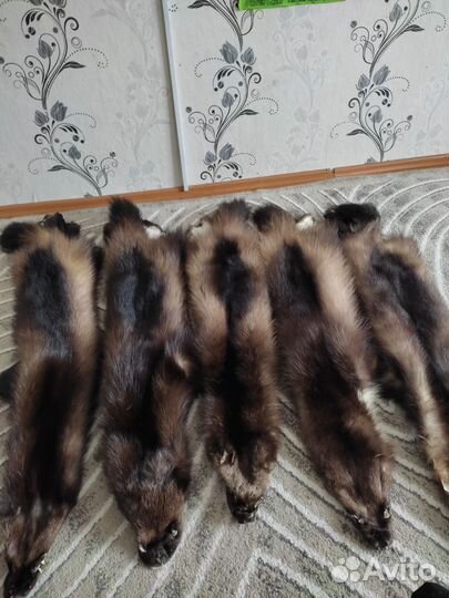 Продаются шкуры с фабричной выделкой