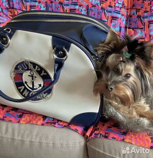 Переноска, для животных puppy angel