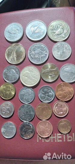 Монеты фауна