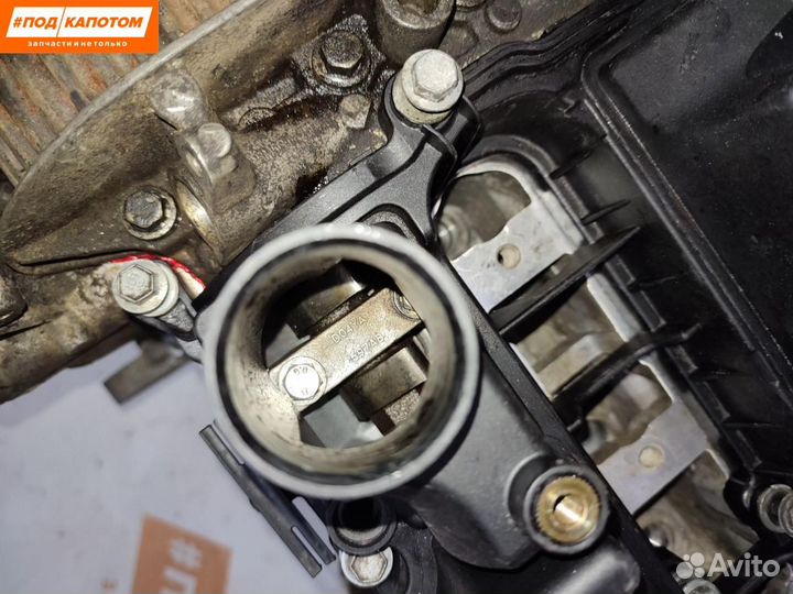 Двигатель jqdb Ford Focus 3