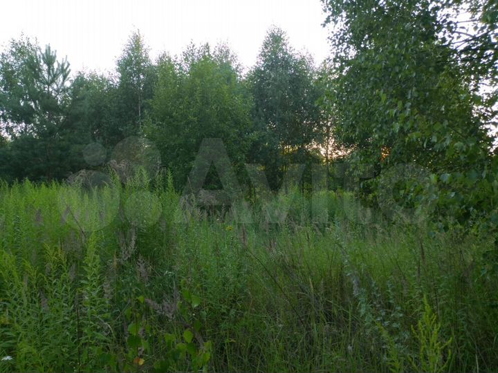 Участок 19,4 сот. (СНТ, ДНП)