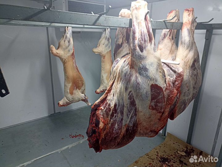 Мясо халяль