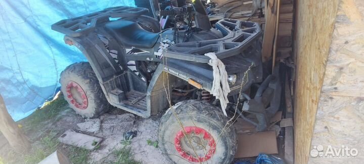 Avantis hunter 200 big