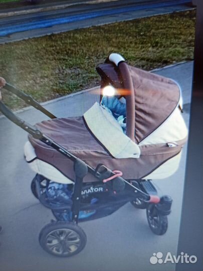 Коляска 2 в 1 aviator