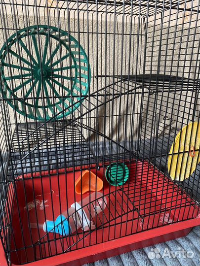 Клетка для грызунов