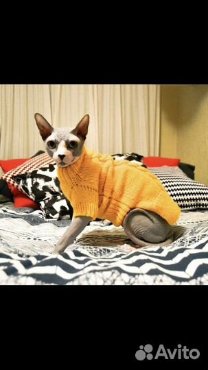 Свитер для сфинкса ручной работы