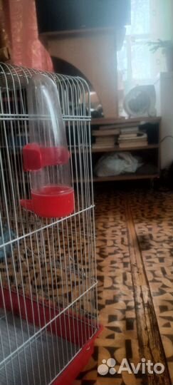 Клетка для попугая