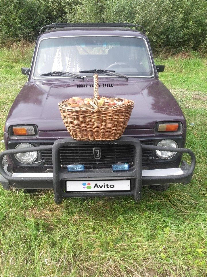 ВАЗ (LADA) 4x4 (Нива): фото владельца