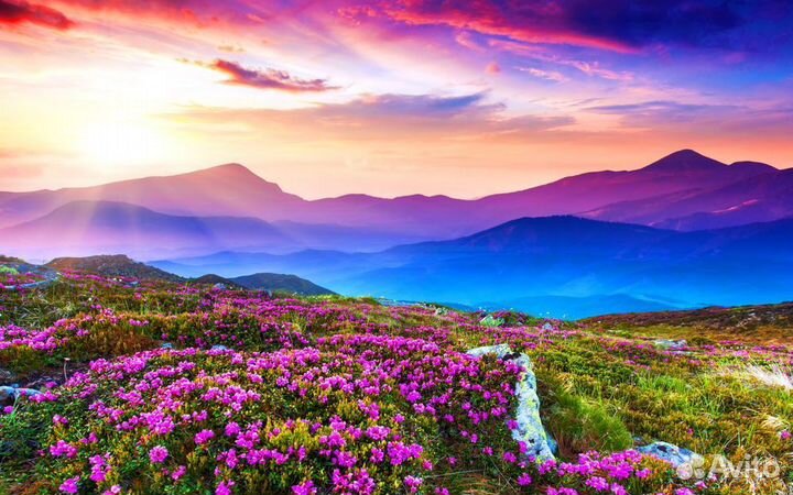 Грузчики Работа на Складе РФ / Оплата Еженедельно