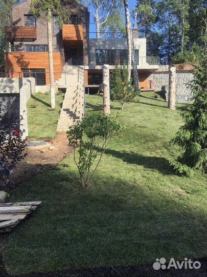 Продажа газона стандарт