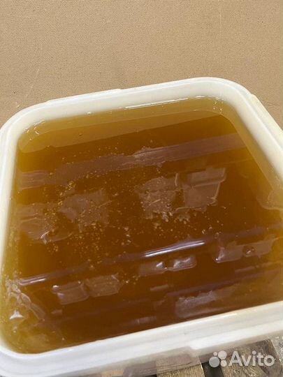 Эспарцет свежий оптом