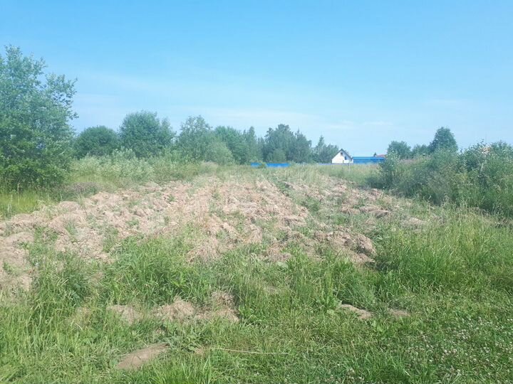 Участок 6,5 сот. (ИЖС)