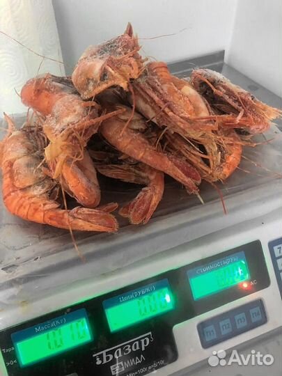 Креветка Ботан