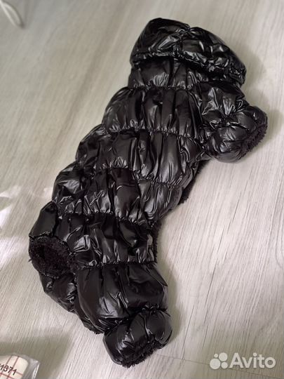 Одежда и амуниция для маленьких собак