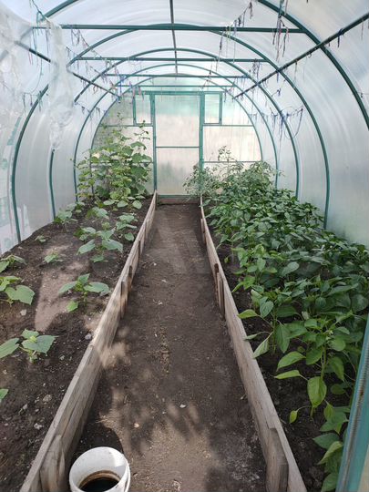 Участок 7,6 сот. (СНТ, ДНП)