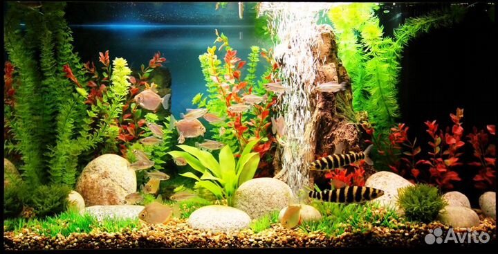 Декор для аквариума искусственные растения