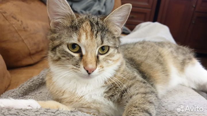 Милашка и нежнятина Мэри