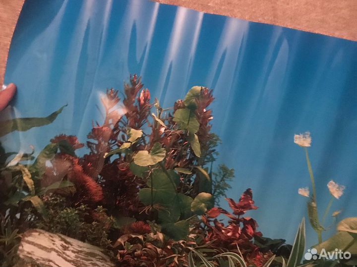 Задний фон для аквариума