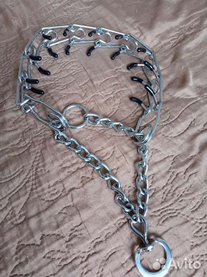 Строгий ошейник для собак