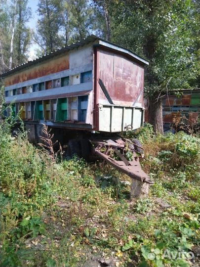 Павильон для пчел