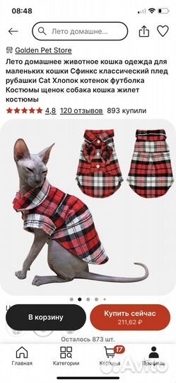 Одежда для кота