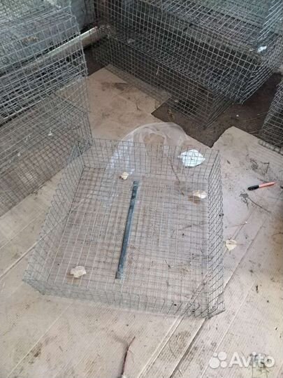 Контейнеры для транспортирования птицы