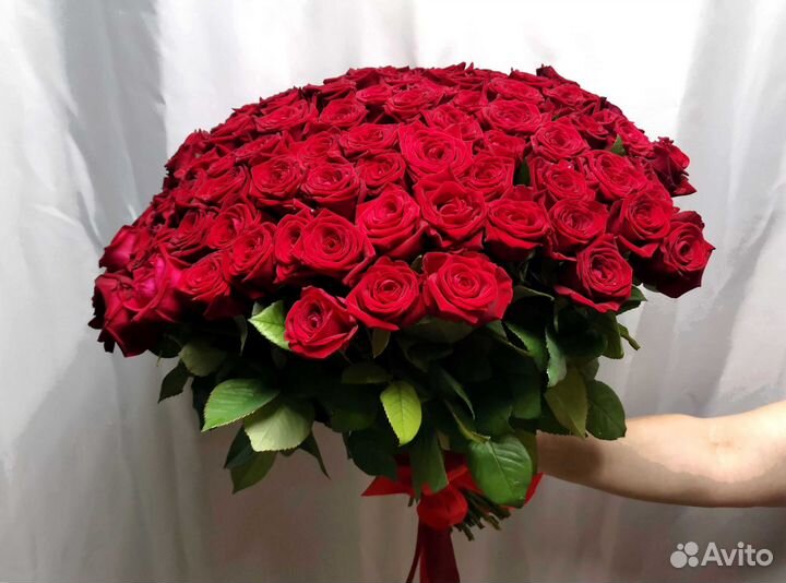 Букет роз. Розы 101 шт