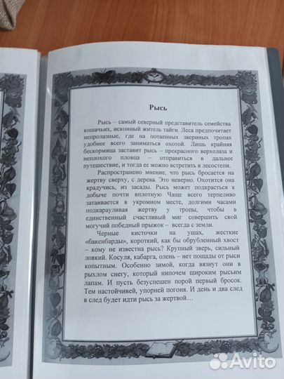 Альбом с картинками животных