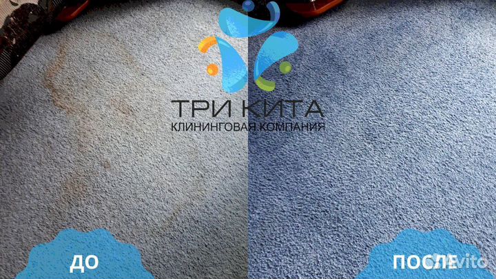 Химчистка мягкой мебели и ковров на дому