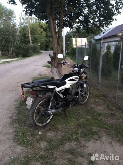 Продам мопед альфу RX (110)