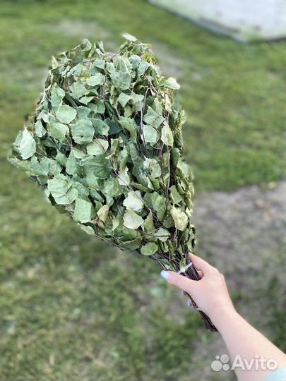 Веники для бани