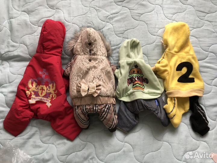 Одежда для маленьких собак