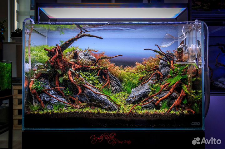 Коряги для аквариума,композиции,бонсай