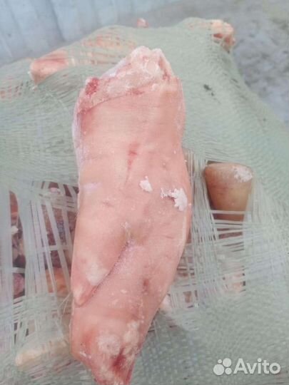 Ножки свиные