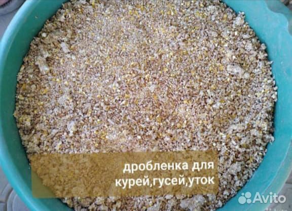 Корма для домашних животных