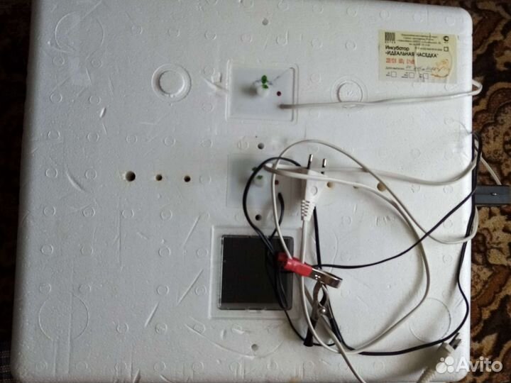 Инкубатор для яиц