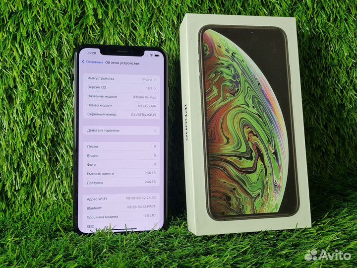 iPhone Xs Max, 256 ГБ