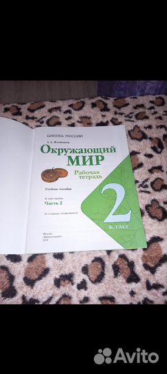 Рабочая тетрадь по окружающему миру 2 класс