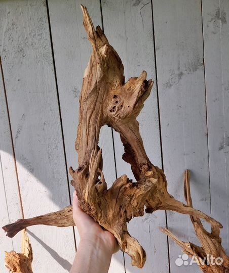 Коряги для аквариума