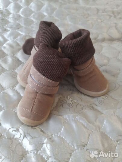 Обувь для маленьких собак