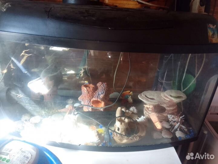 Аквариум