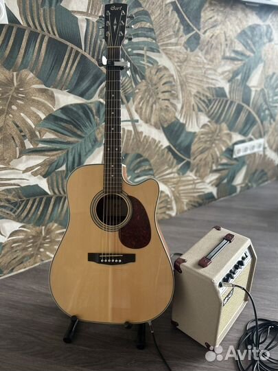 Электроаккустическая гитара + комбоусилитель