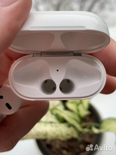 Apple Air Pods