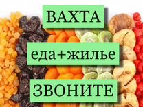 Подсобный рабочий Вахта от 15 смен Проживание+Еда