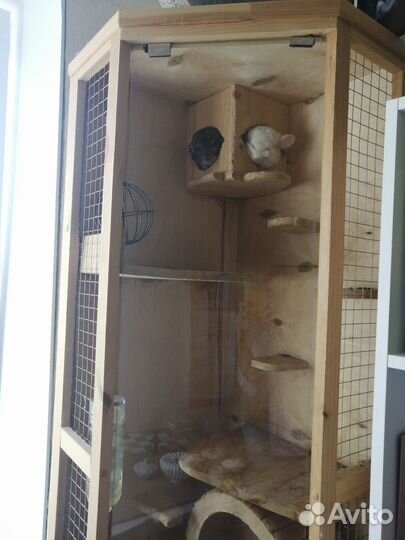 Витрина для шиншилл (б/у)