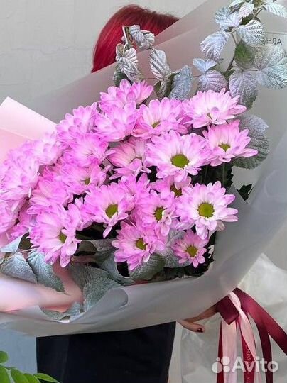 Ромашки хризантема ромашковидная